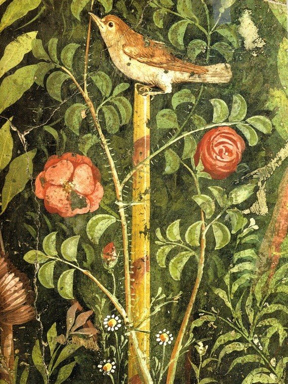 Cicero: Dialoge über Freundschaft und Alter